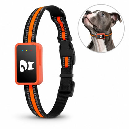 4G GPS Pet Tracker Collar with Mobile App, Real-Time Location Device for Dogs and Cats