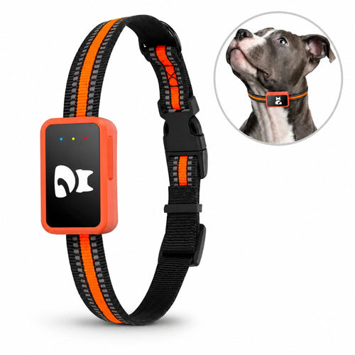 4G GPS Pet Tracker Collar with Mobile App, Real-Time Location Device for Dogs and Cats