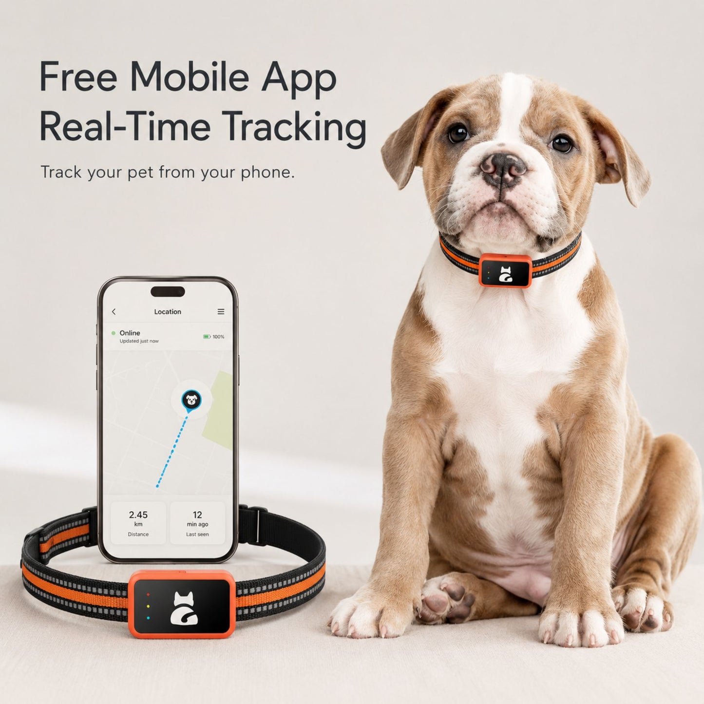 4G GPS Pet Tracker Collar with Mobile App, Real-Time Location Device for Dogs and Cats