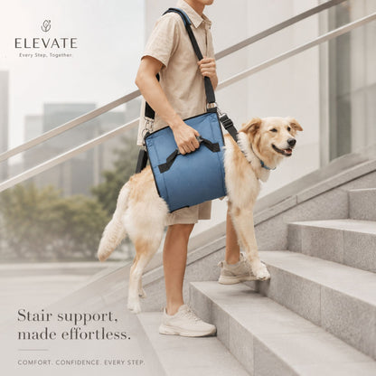 Adjustable Full-Body Dog Lift Support Harness with Shoulder Strap
