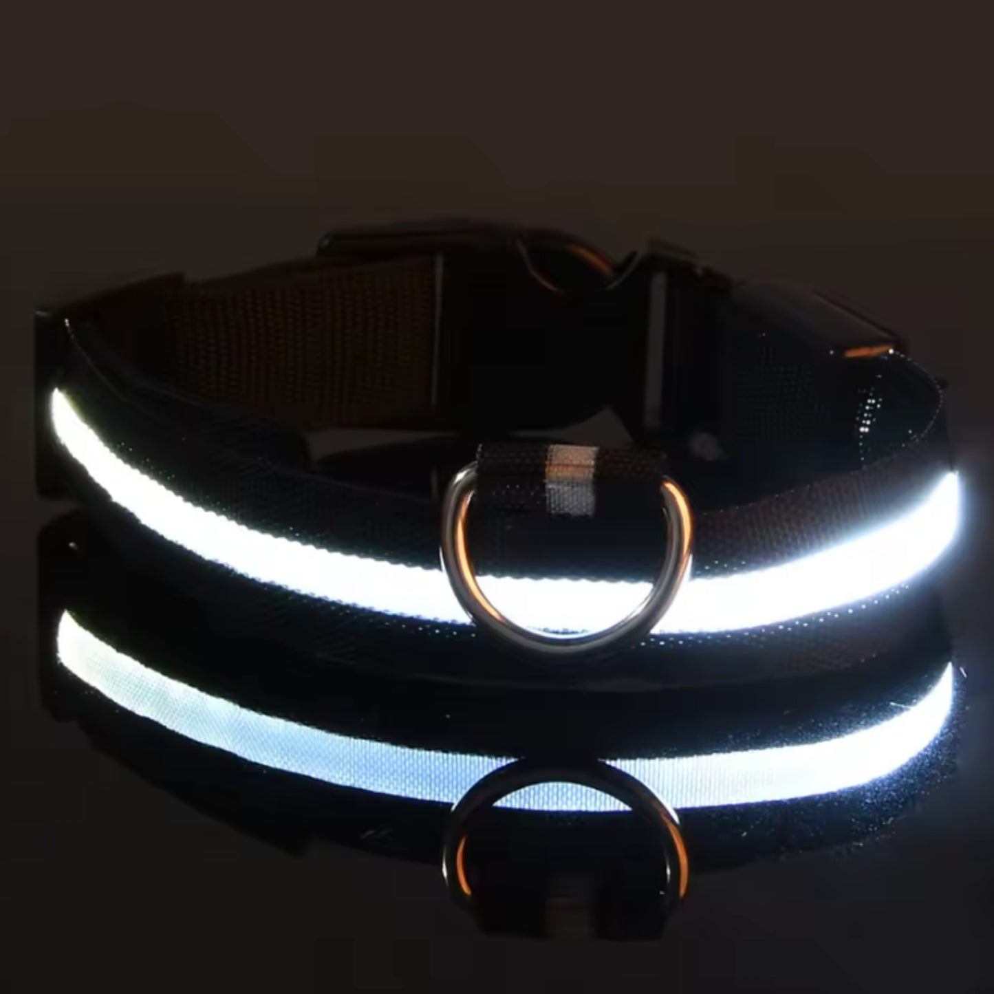 Adjustable LED Dog Collar – Nylon Light-Up Glow Collar for Night Walks