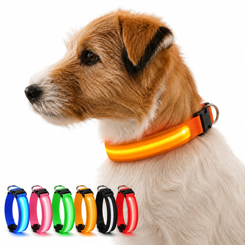 Adjustable LED Dog Collar – Nylon Light-Up Glow Collar for Night Walks
