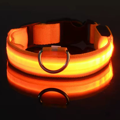 Adjustable LED Dog Collar – Nylon Light-Up Glow Collar for Night Walks