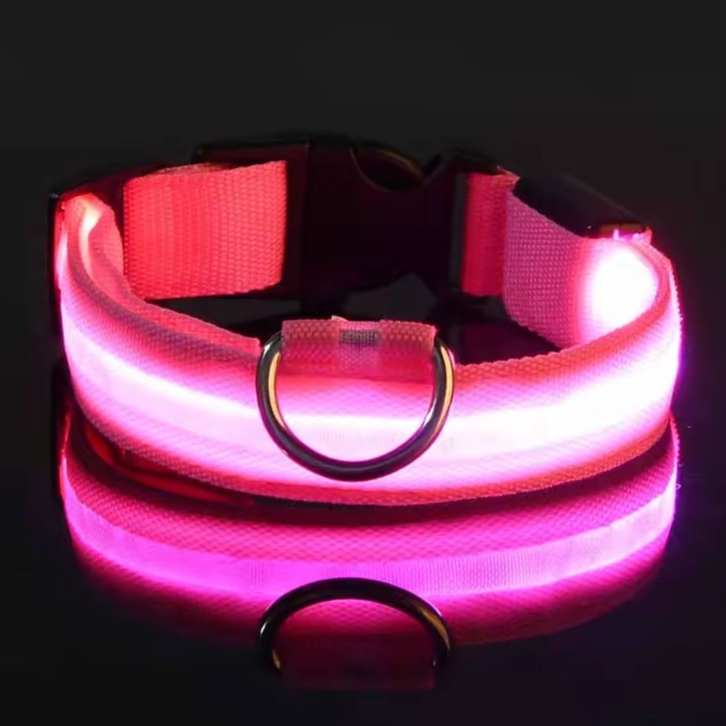 Adjustable LED Dog Collar – Nylon Light-Up Glow Collar for Night Walks