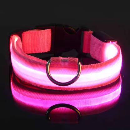 Adjustable LED Dog Collar – Nylon Light-Up Glow Collar for Night Walks