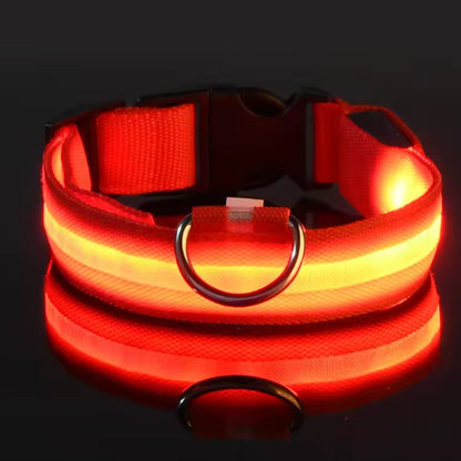 Adjustable LED Dog Collar – Nylon Light-Up Glow Collar for Night Walks