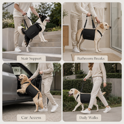 Adjustable Full-Body Dog Lift Support Harness with Shoulder Strap