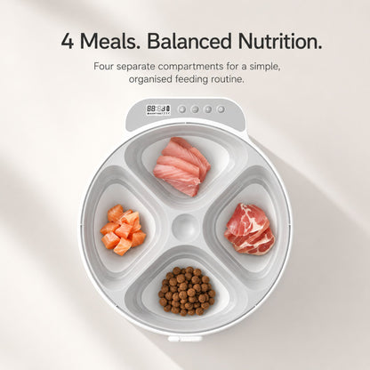Automatic 4-Meal Cat Feeder for Wet and Dry Food, Wireless Timed Pet Food Dispenser with Touch Control Panel for Cats and Small Dogs