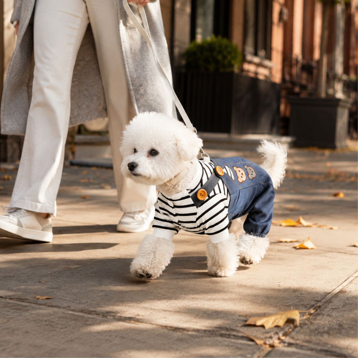 Bear Embroidered Denim Dog Overalls with Striped Shirt and D-Ring