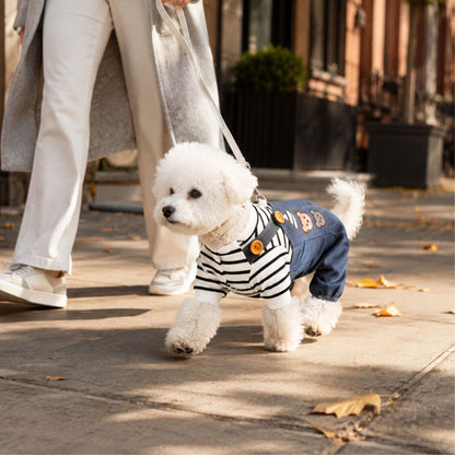 Bear Embroidered Denim Dog Overalls with Striped Shirt and D-Ring