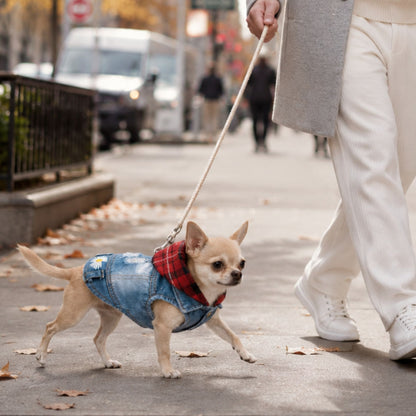 Blue Denim Dog Jacket with Red Plaid Hood and Daisy Embroidery – Small Dog Vest