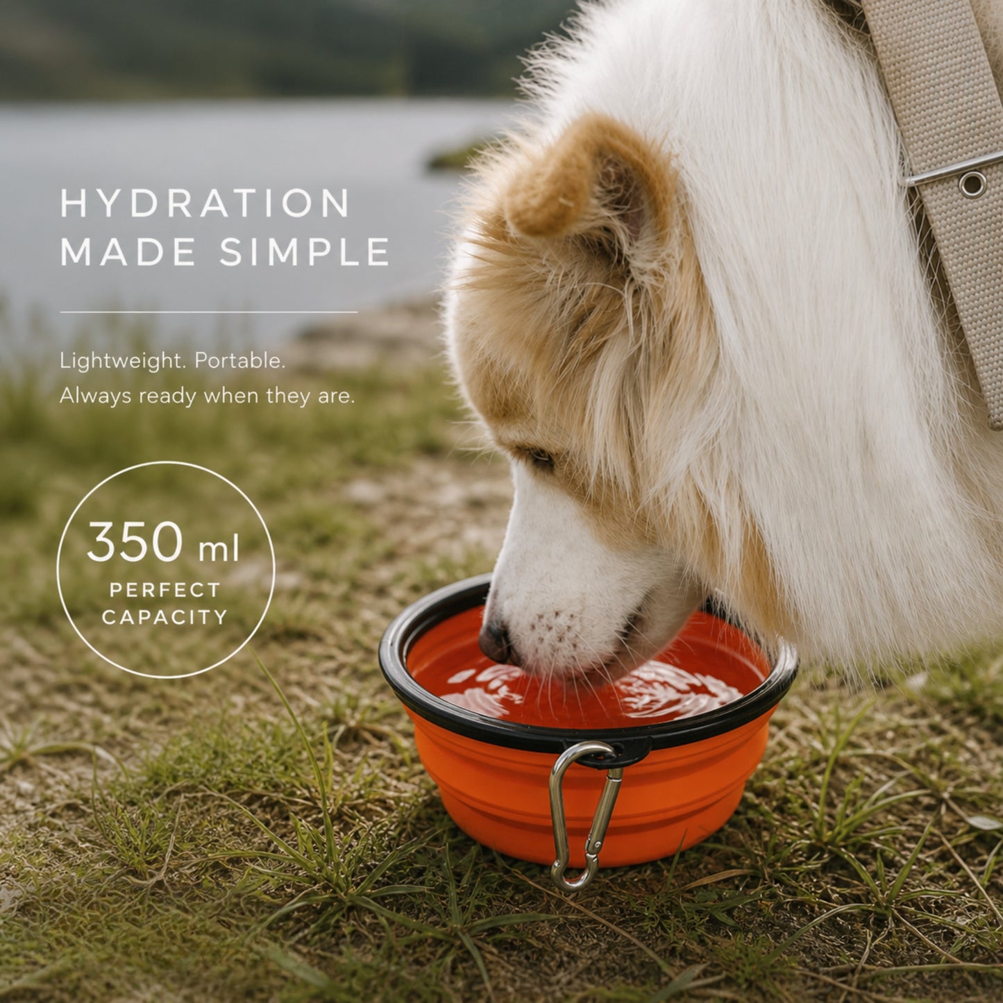 Collapsible Pet Travel Bowl for Dogs & Cats – Portable Silicone Water & Food Bowl with Carabiner