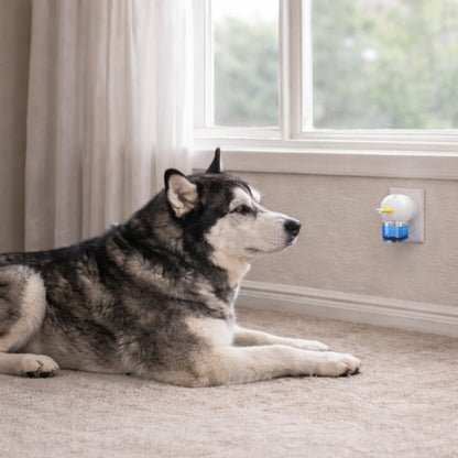 Dog Calming Plug-In Diffuser Set with 48 ml Soothing Liquid, Up to 30 Days of Comfort