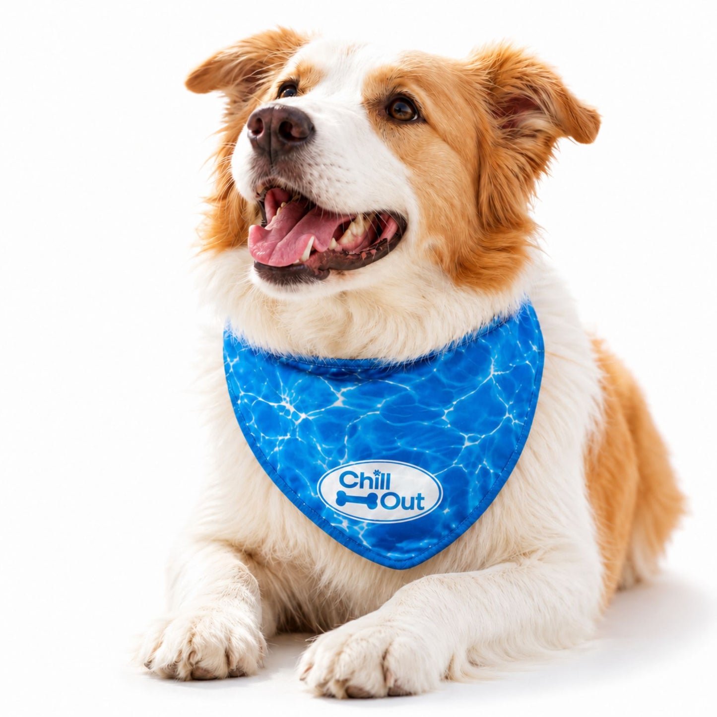 Dog Cooling Bandana Reusable Pet Cooling Scarf for Summer Walks, Outdoor Play & Warm Weather Comfort