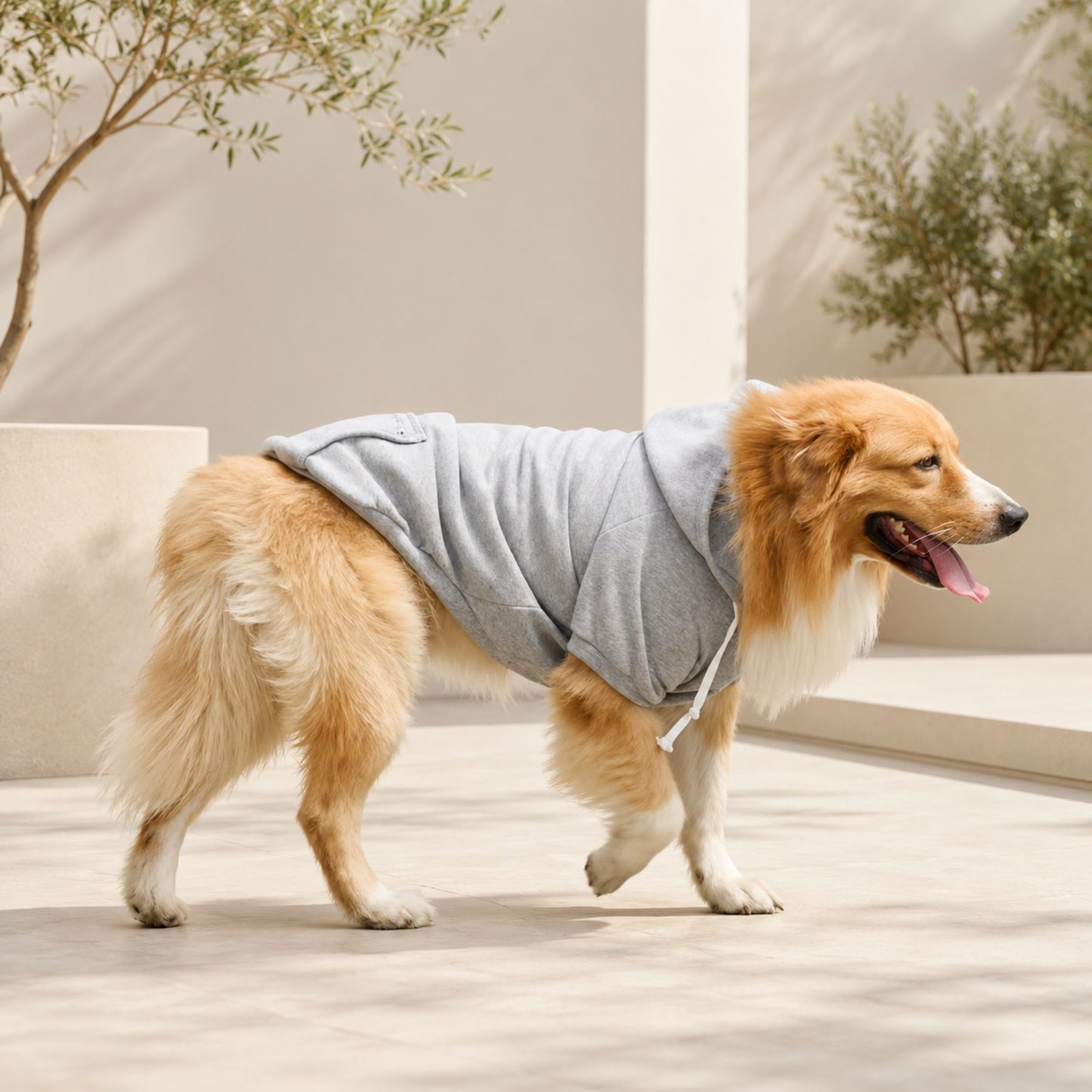 Dog Hoodie with Zippered Back Pocket – Soft Pet Sweatshirt for Small, Medium and Large Dogs