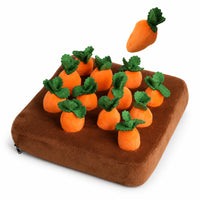 12 Carrots