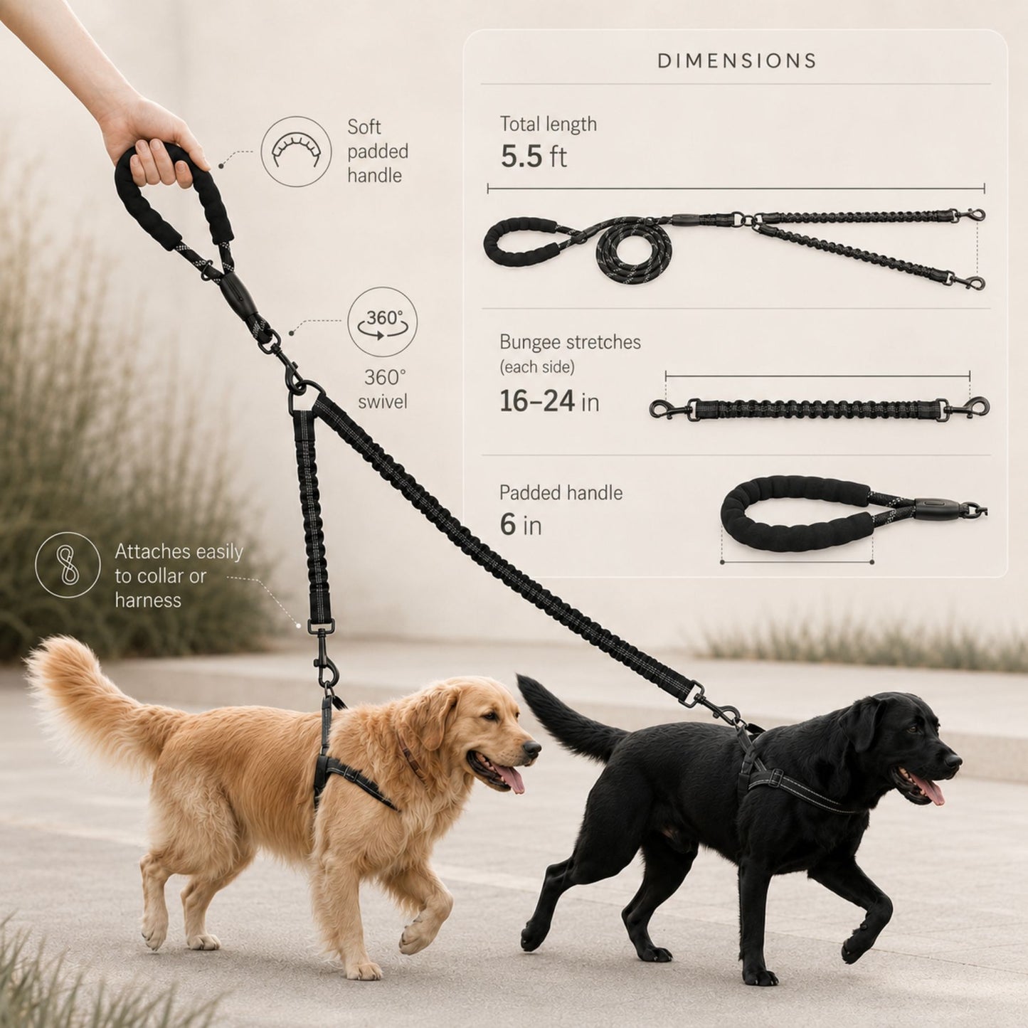 Dual Dog Lead Rope – Shock Absorbing Double Dog Leash with Comfort Handle
