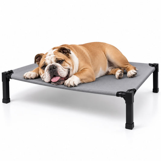 Elevated Cooling Dog and Cat Bed with Breathable Mesh and Metal Frame