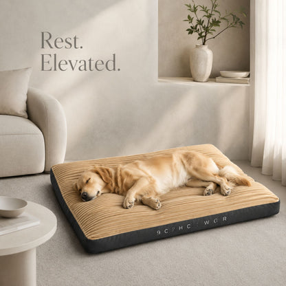 Extra Thick Washable Dog Bed Mat for Medium & Large Dogs – Ultra Soft Ribbed Plush Pet Mattress with Non-Slip Base
