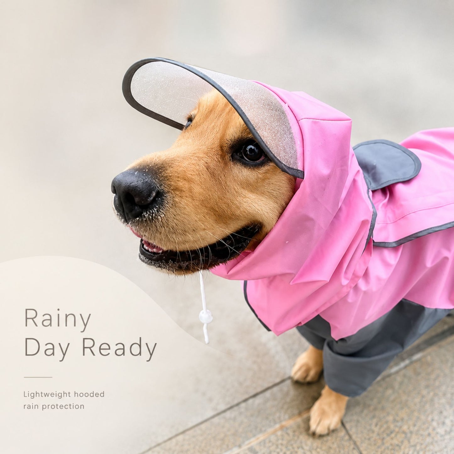 Full-Coverage Dog Raincoat with Hood and Leg Protection