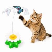 Buttefly