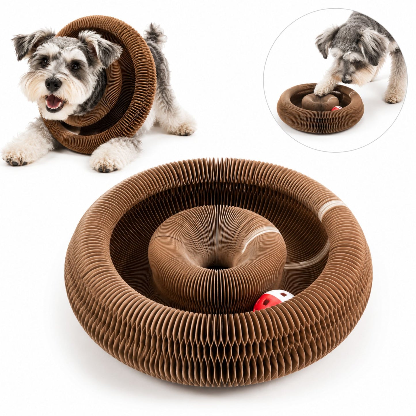 Interactive Honeycomb Pet Toy Ring with Rolling Ball for Small Dogs and Cats