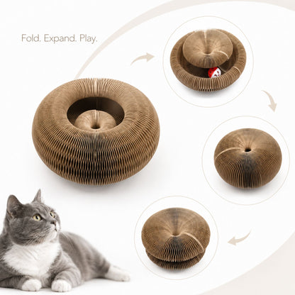 Interactive Honeycomb Pet Toy Ring with Rolling Ball for Small Dogs and Cats