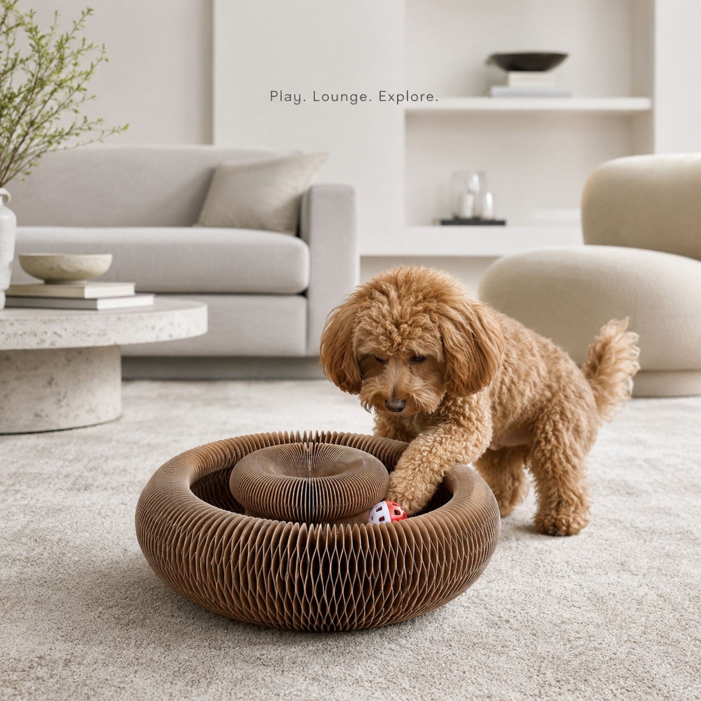 Interactive Honeycomb Pet Toy Ring with Rolling Ball for Small Dogs and Cats