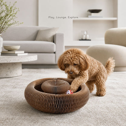 Interactive Honeycomb Pet Toy Ring with Rolling Ball for Small Dogs and Cats