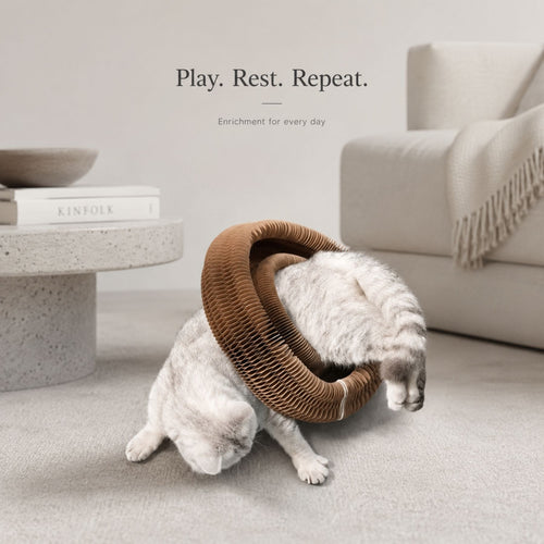 Interactive Honeycomb Pet Toy Ring with Rolling Ball for Small Dogs and Cats