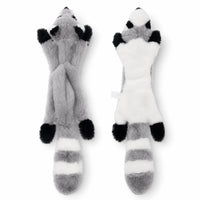 Raccoon