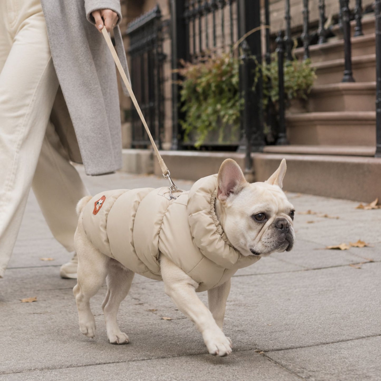 Padded Winter Dog and Cat Coat with Leash Ring – Warm Pet Jacket for Small Pets