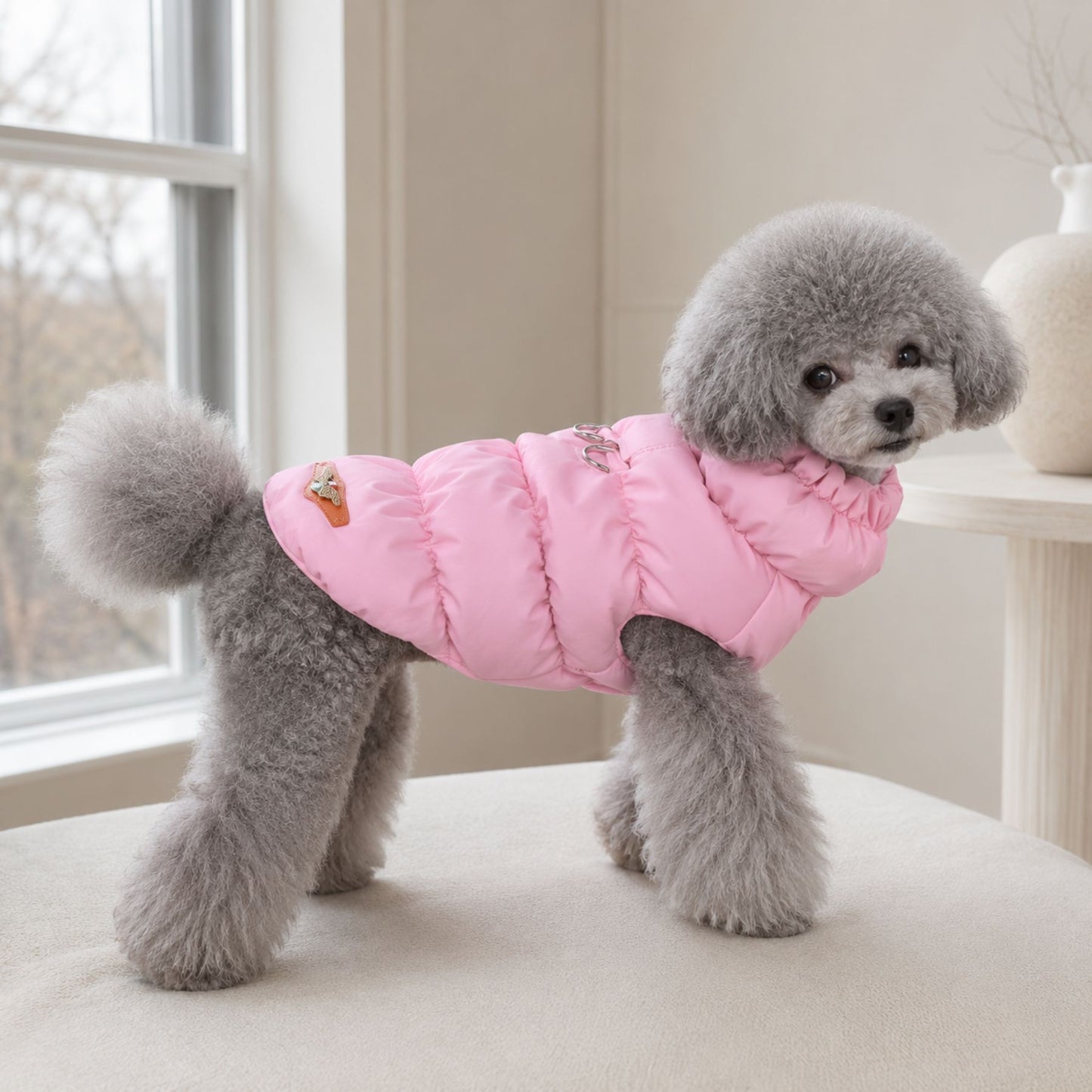 Padded Winter Dog and Cat Coat with Leash Ring – Warm Pet Jacket for Small Pets