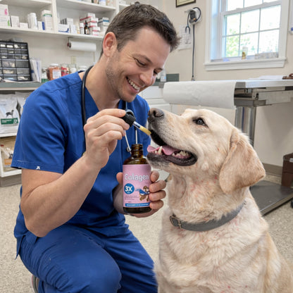 Pet Collagen Drops for Dogs – 60ml Liquid Collagen Supplement for Joint, Mobility, Skin & Coat Support