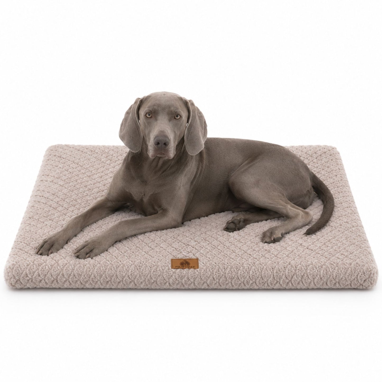 Plush Faux Fur Dog Bed with Removable Washable Cover & Non-Slip Base