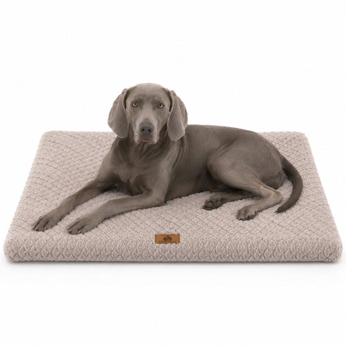 Plush Faux Fur Dog Bed with Removable Washable Cover & Non-Slip Base