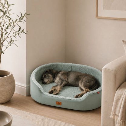 Raised Edge Plush Dog Bed with Non-Slip Base | Sofa Style Pet Couch Bed for Dogs and Cats