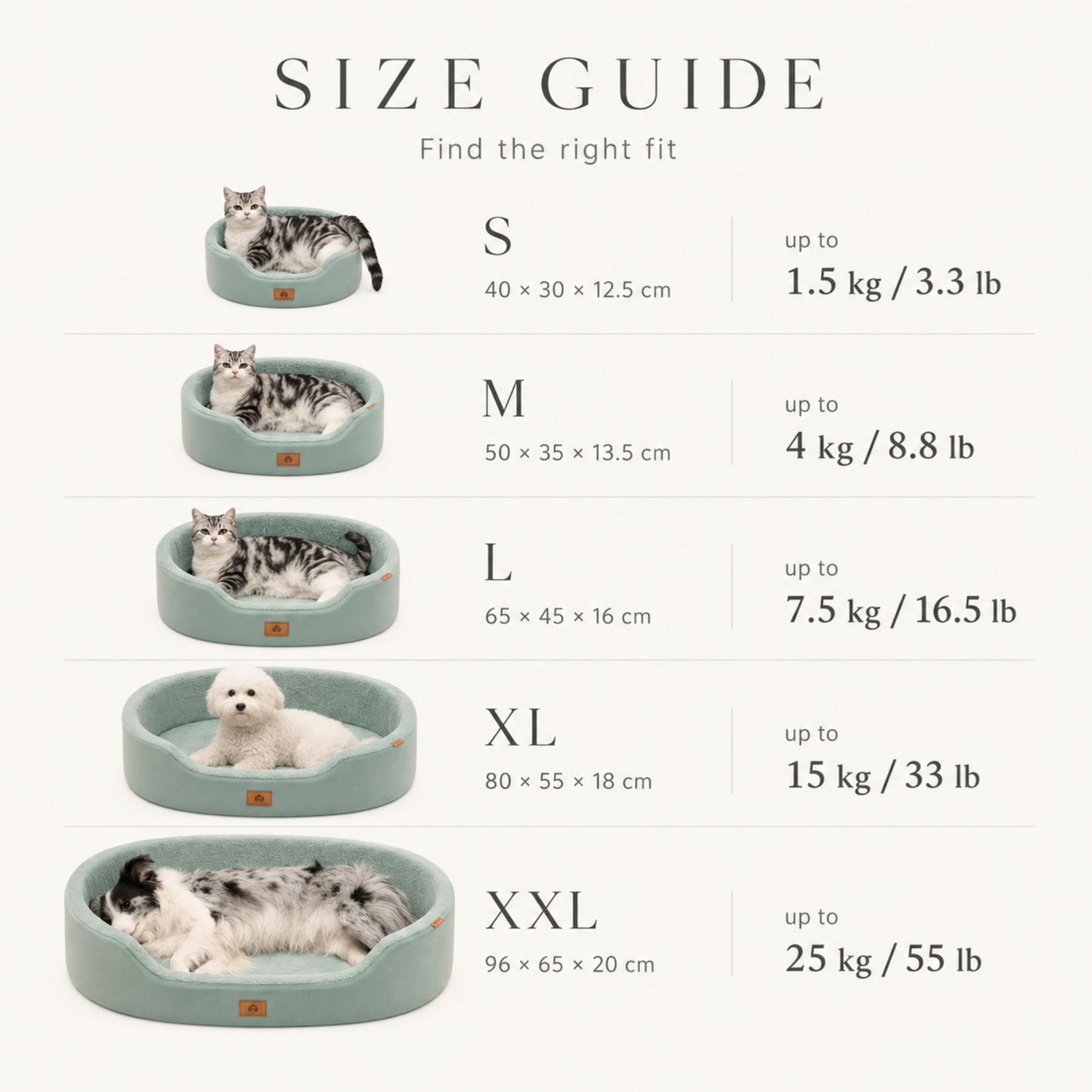 Raised Edge Plush Dog Bed with Non-Slip Base | Sofa Style Pet Couch Bed for Dogs and Cats