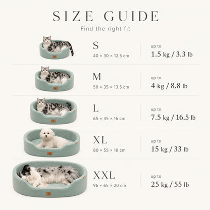 Raised Edge Plush Dog Bed with Non-Slip Base | Sofa Style Pet Couch Bed for Dogs and Cats