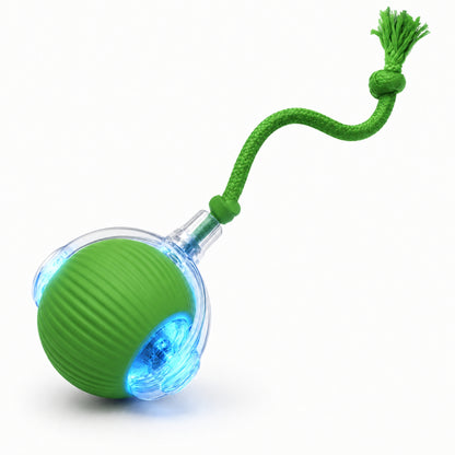 Rechargeable Smart Rolling Ball Pet Toy for Cats and Dogs