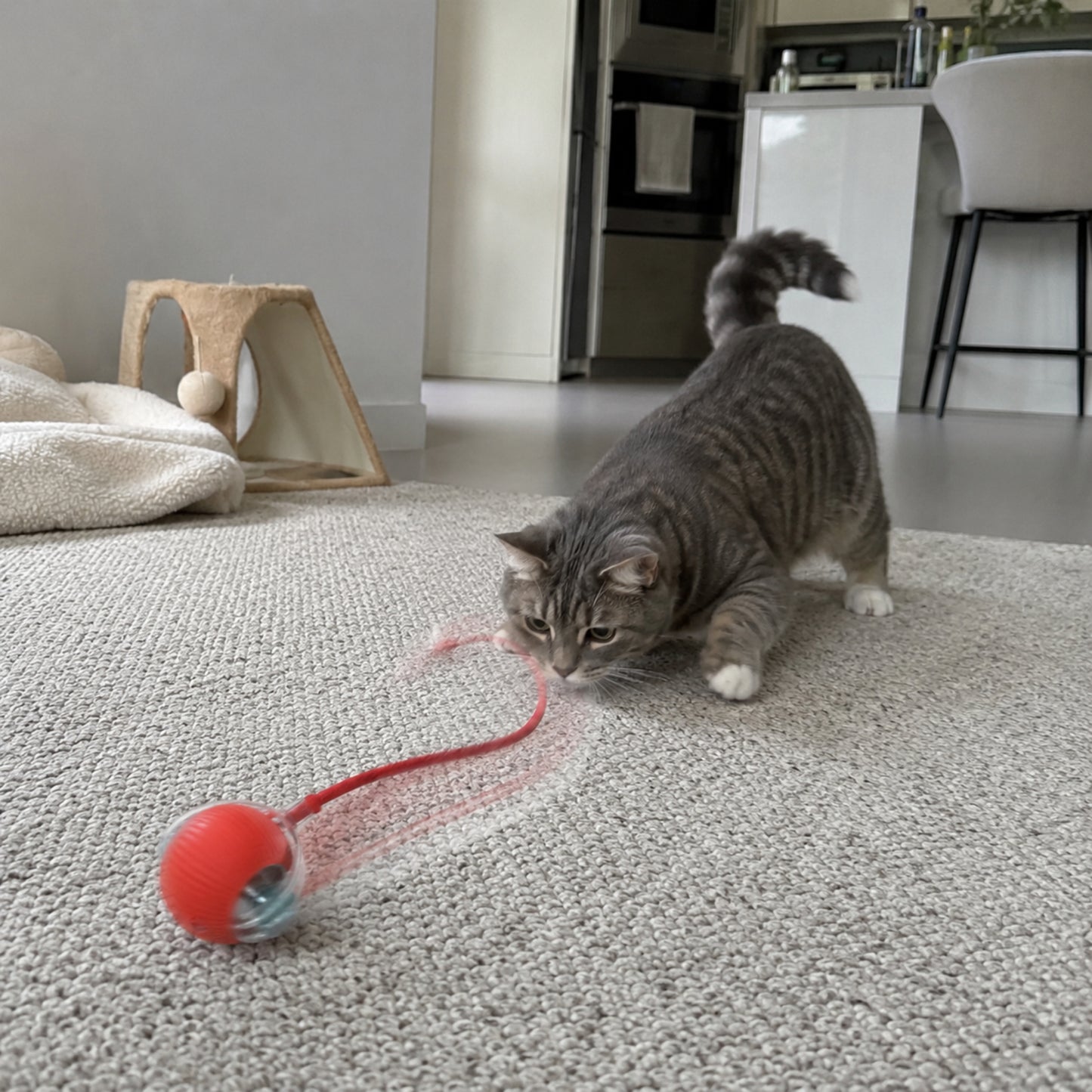 Rechargeable Smart Rolling Ball Pet Toy for Cats and Dogs
