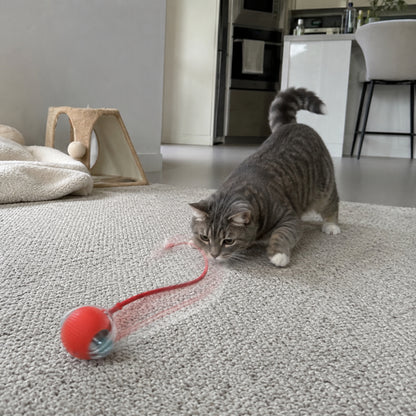Rechargeable Smart Rolling Ball Pet Toy for Cats and Dogs