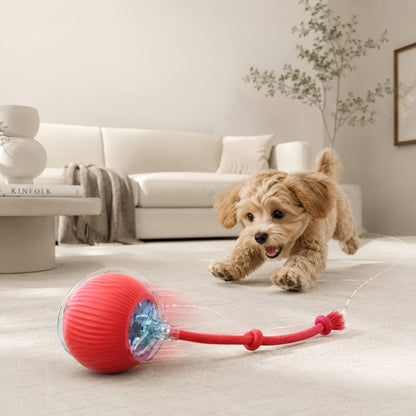 Rechargeable Smart Rolling Ball Pet Toy for Cats and Dogs