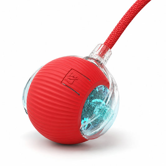 Rechargeable Smart Rolling Ball Pet Toy for Cats and Dogs