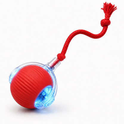 Rechargeable Smart Rolling Ball Pet Toy for Cats and Dogs