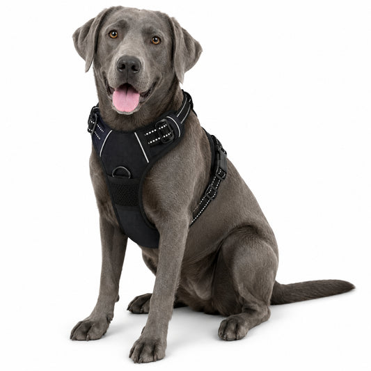 Reflective No-Pull Dog Harness with Front Clip & Control Handle