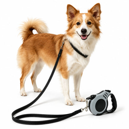 5m Retractable Dog Leash with Lock Button, Automatic Pet Walking Lead for Small and Medium Dogs
