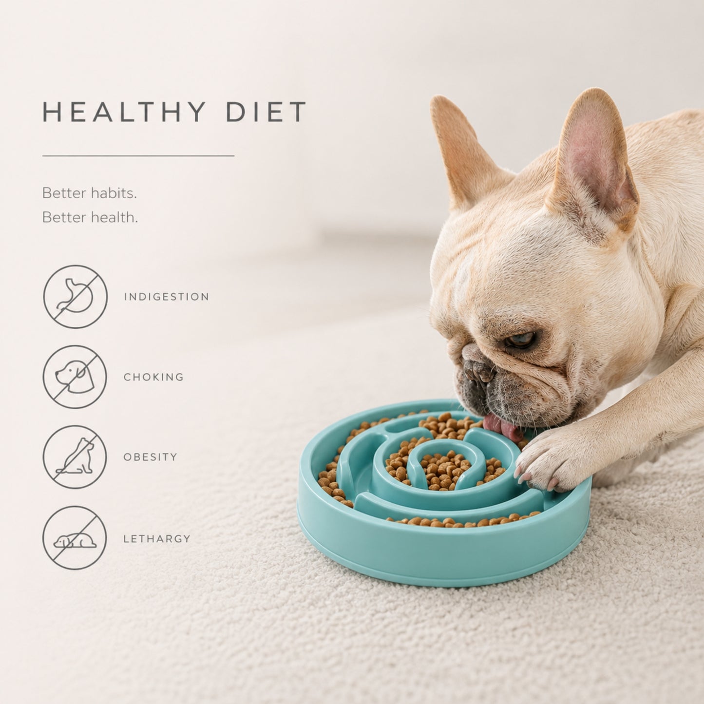 Slow Feeder Dog & Cat Bowl – Non Slip Pet Feeding Bowl for Controlled Eating