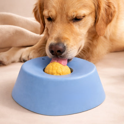 Slow Feeder Lick Bowl for Dogs & Cats – Non Slip Pet Feeding Bowl for Liquid Treats, Yogurt & Wet Food