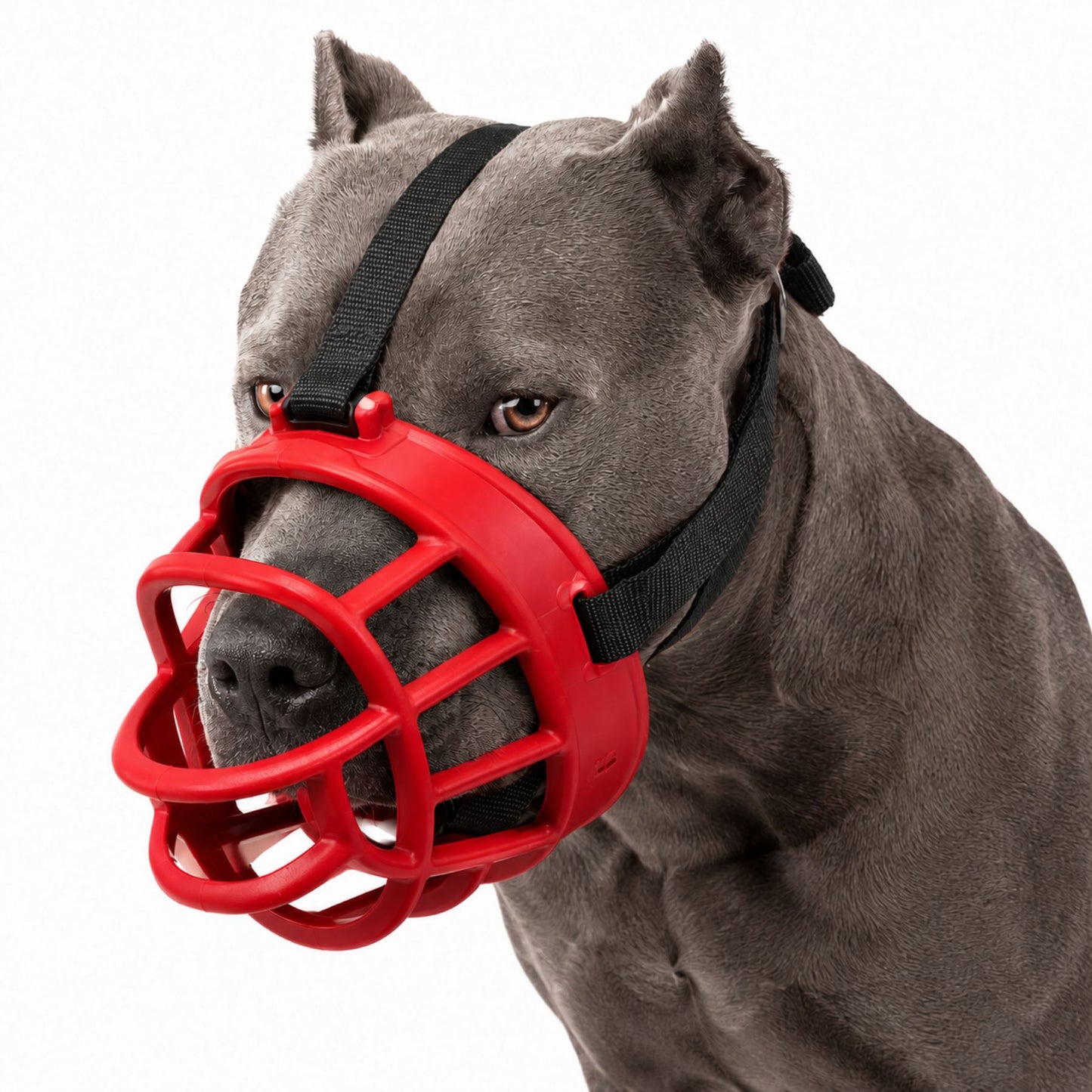 Soft Silicone Basket Dog Muzzle with Adjustable Straps for Small, Medium and Large Dogs